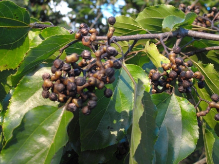 tj0606-intro12 - 복사본.jpg