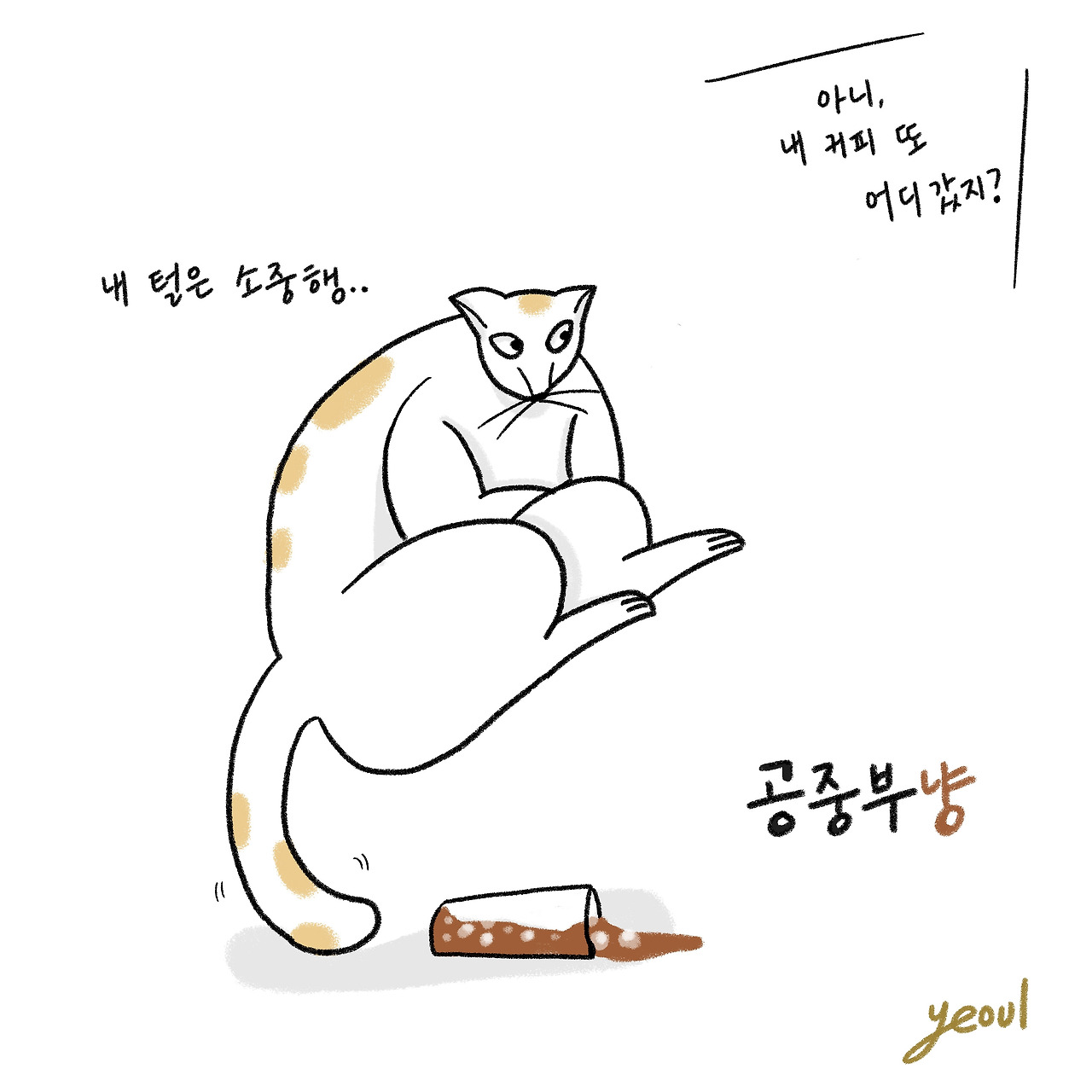 공중부냥.jpg