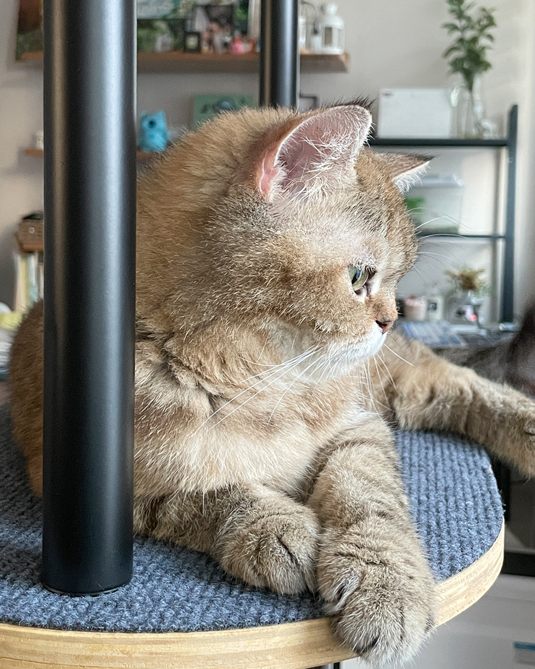 너의 이름은_ 은별이입니다.jpg