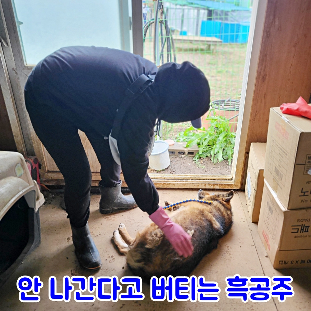 KakaoTalk_Photo_2023-11-10-21-30-31 005jpeg_s.jpg