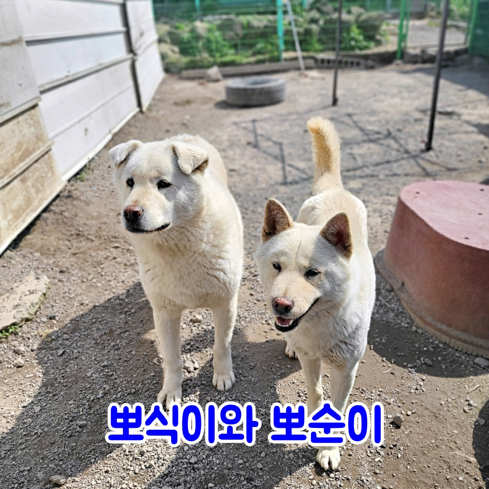 KakaoTalk_Photo_2024-04-12-21-50-53 006_s.jpg