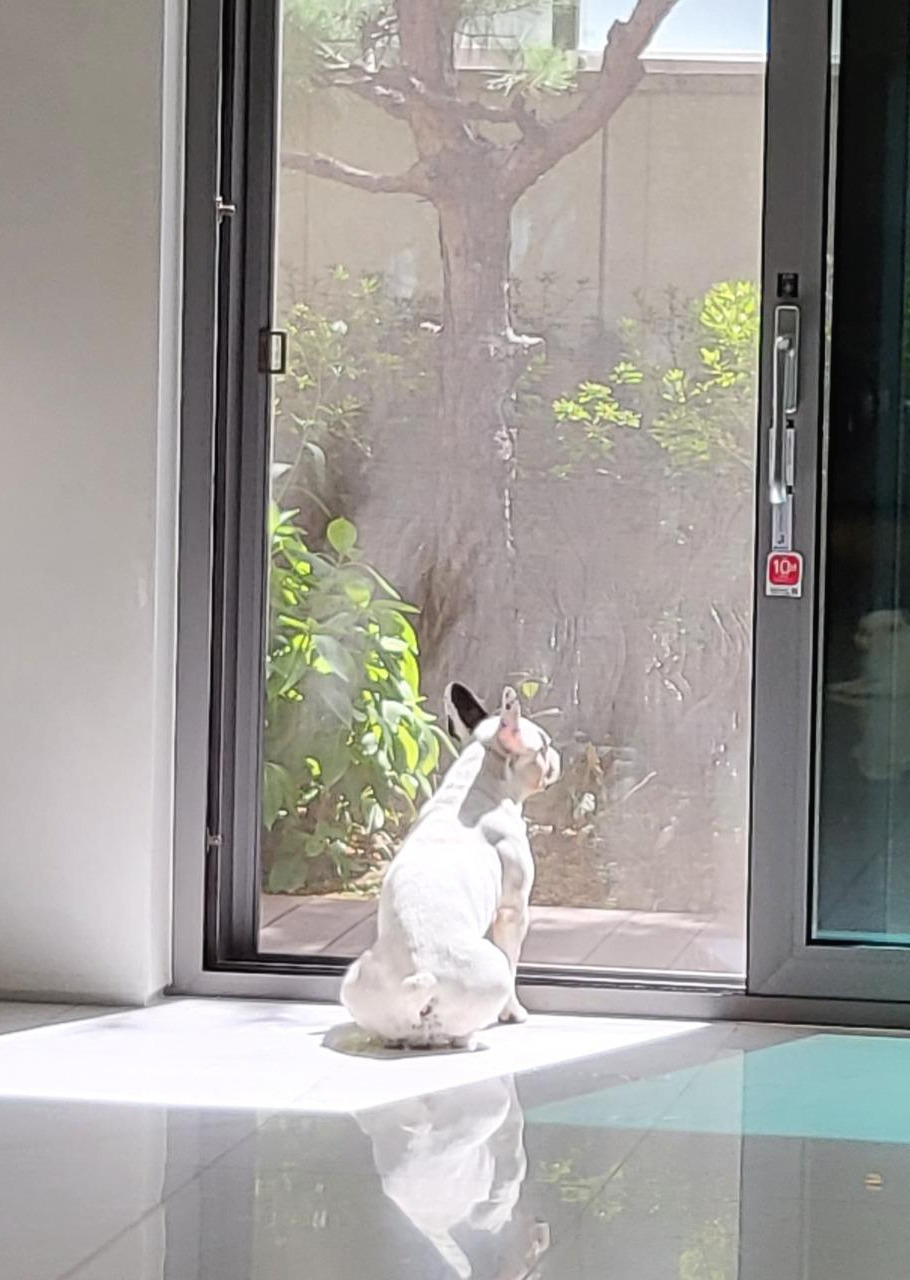 KakaoTalk_Photo_2021-11-08-17-32-07 004.jpg