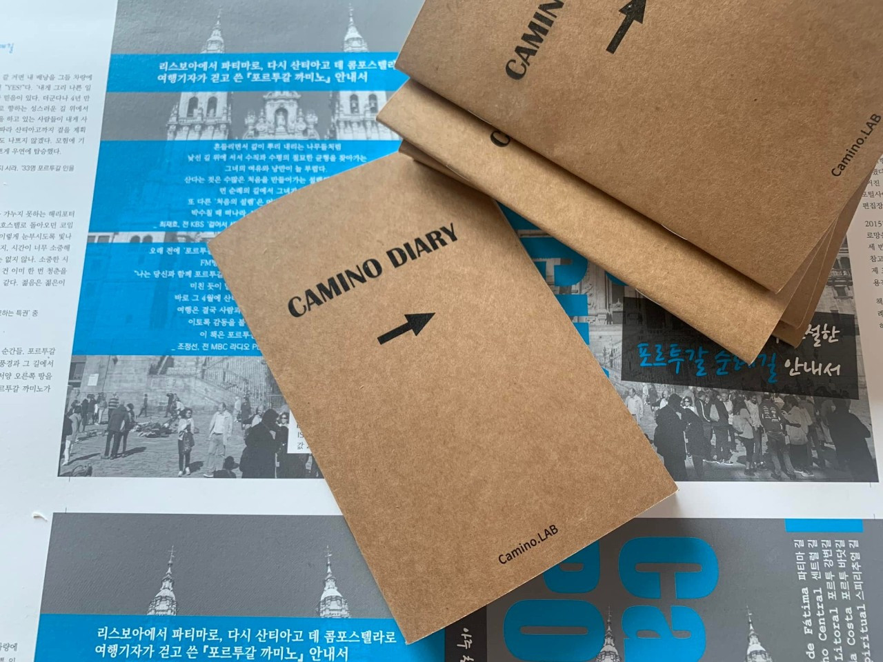 e_ejiUd018svc1al6pgpo9jsi3_wocx9r (1).jpg