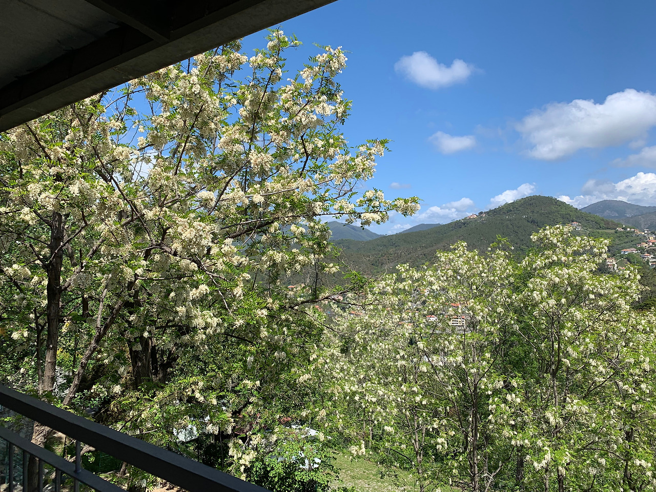 캠핑장의 봄.jpg