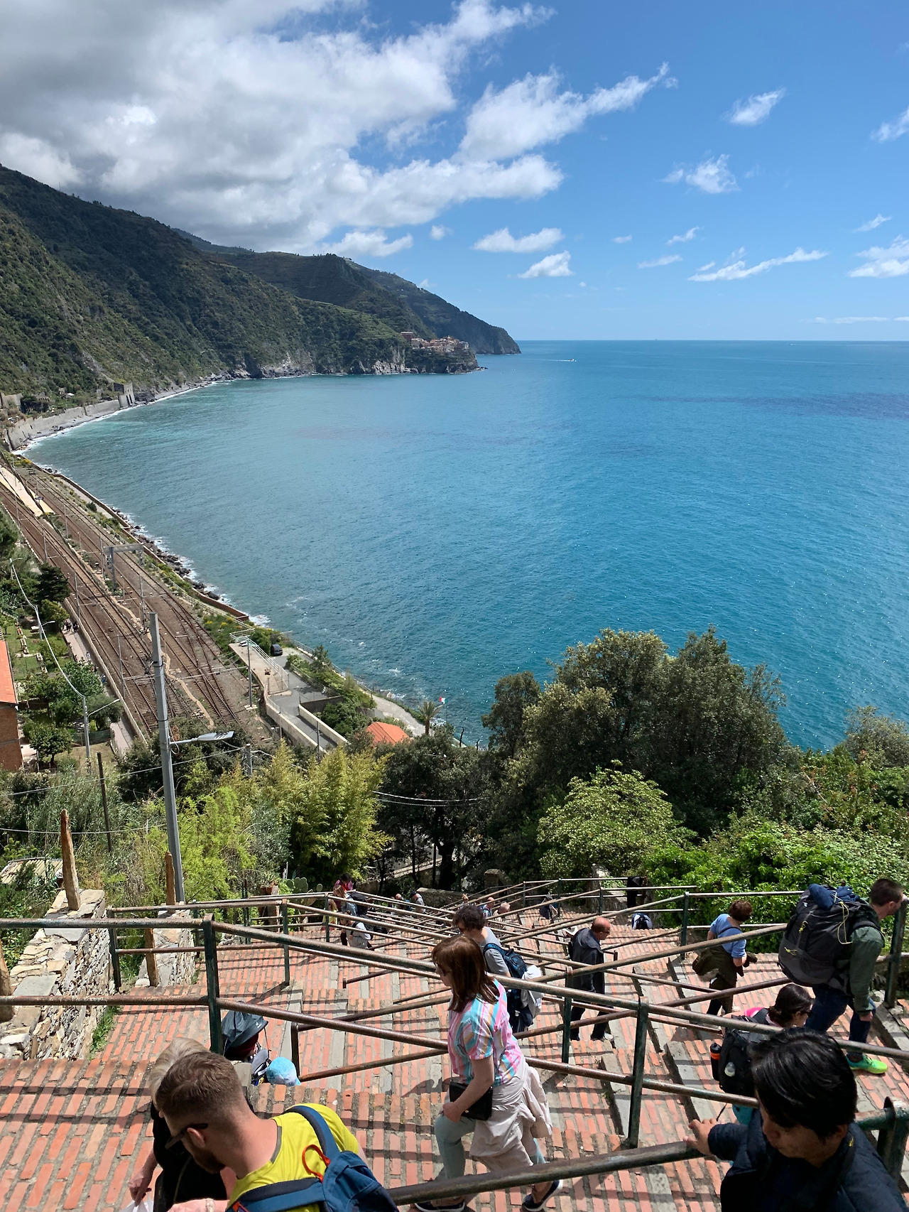 코르닐리아 1.jpg