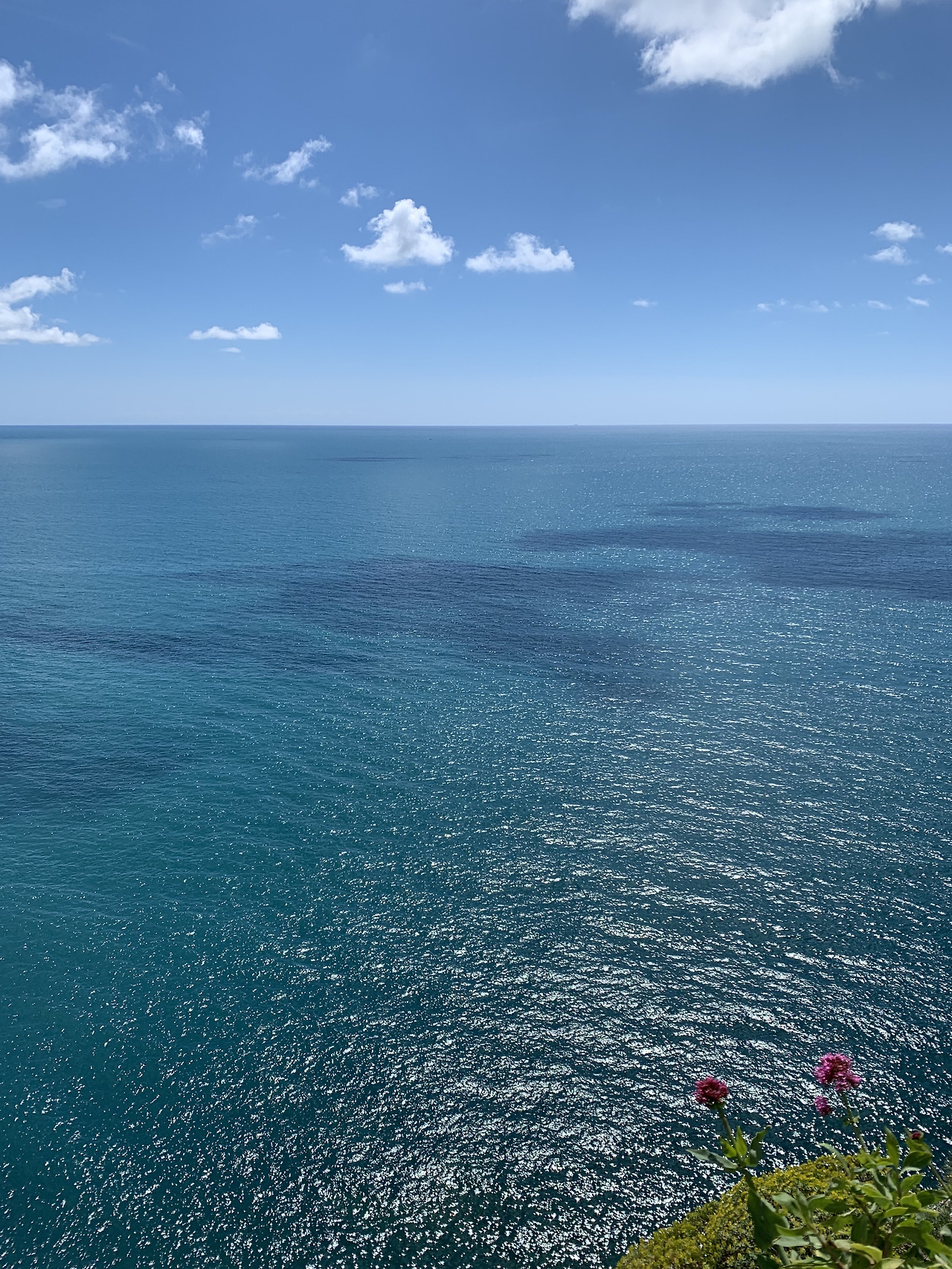 코르닐리아 2.jpg