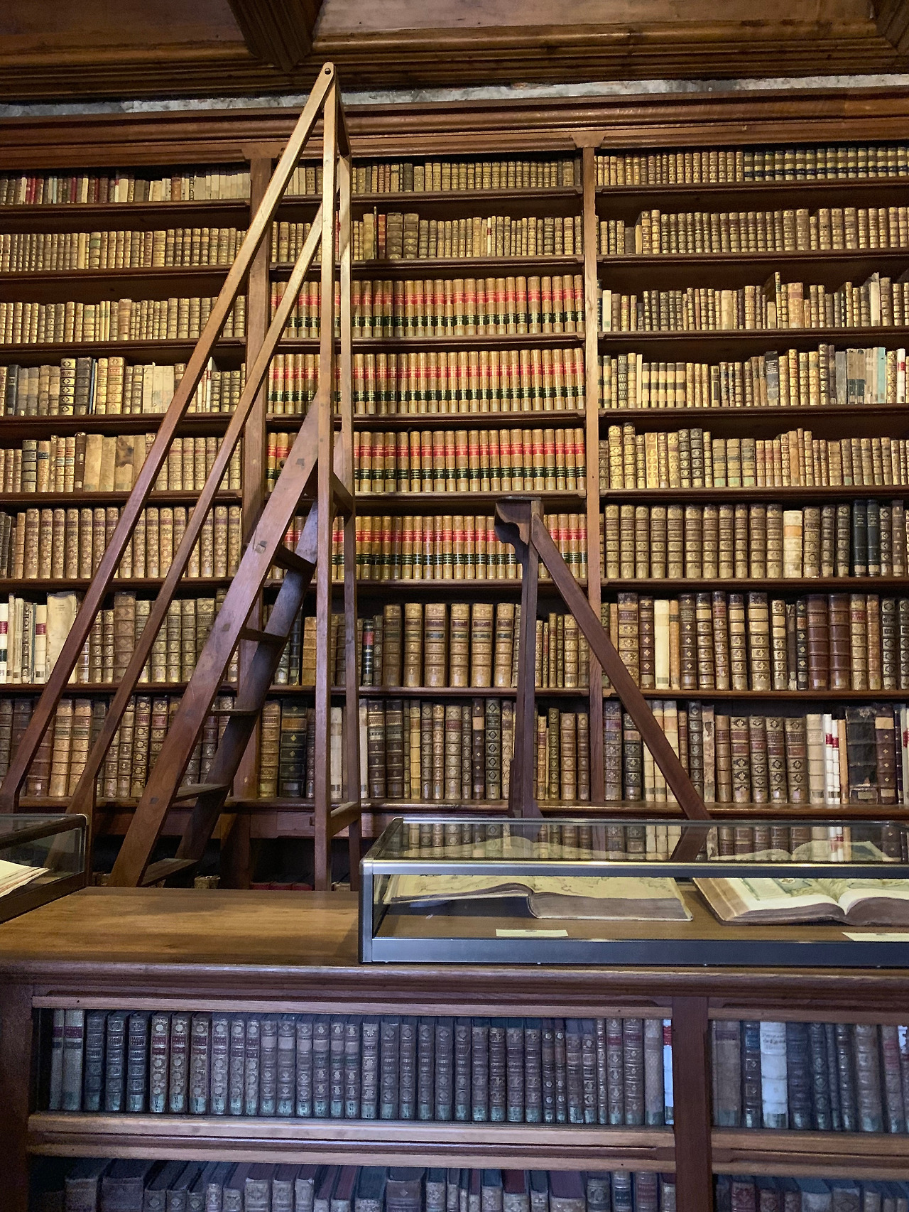 안시성 책방.jpg