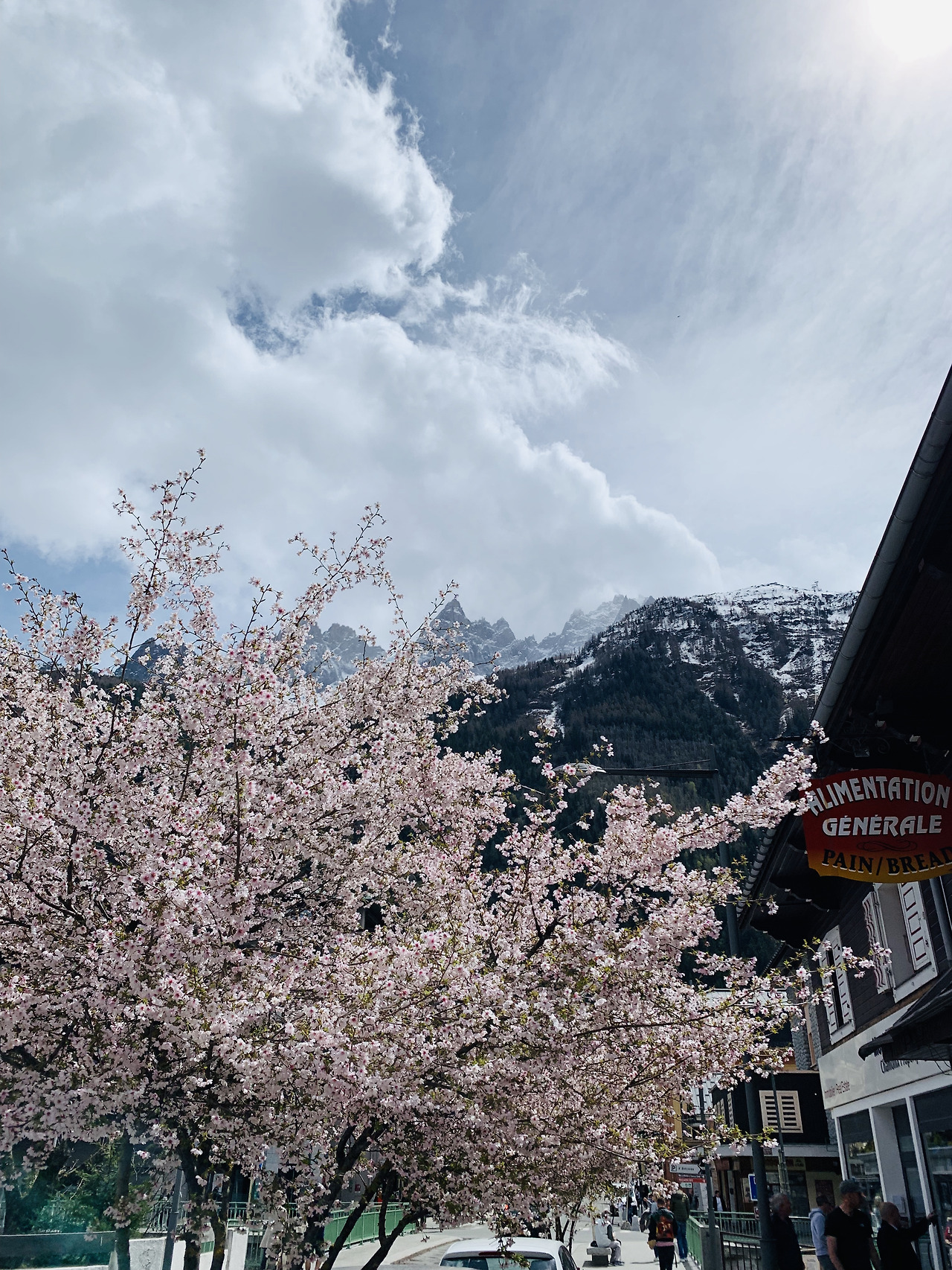 벚꽃과 몽블랑.jpg