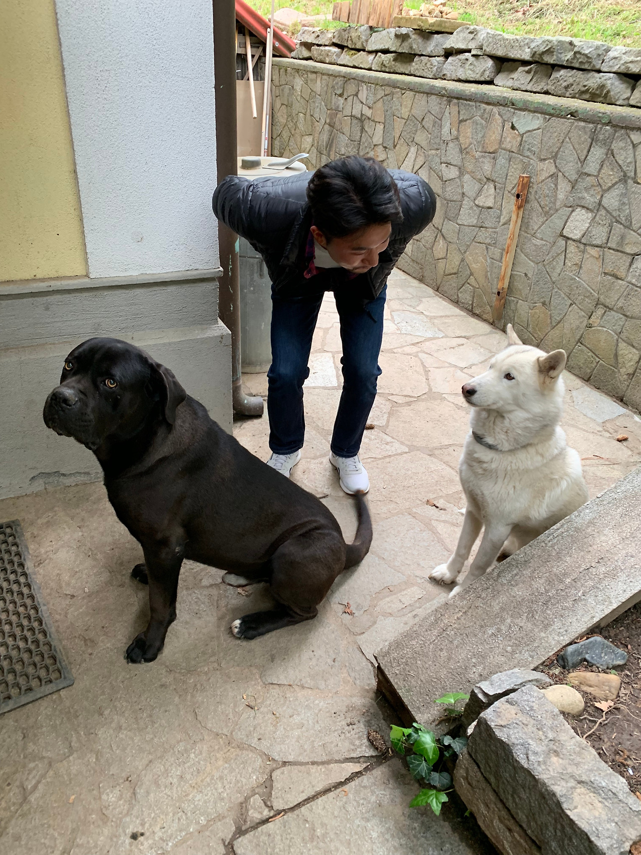 귀여운 아이들.jpg