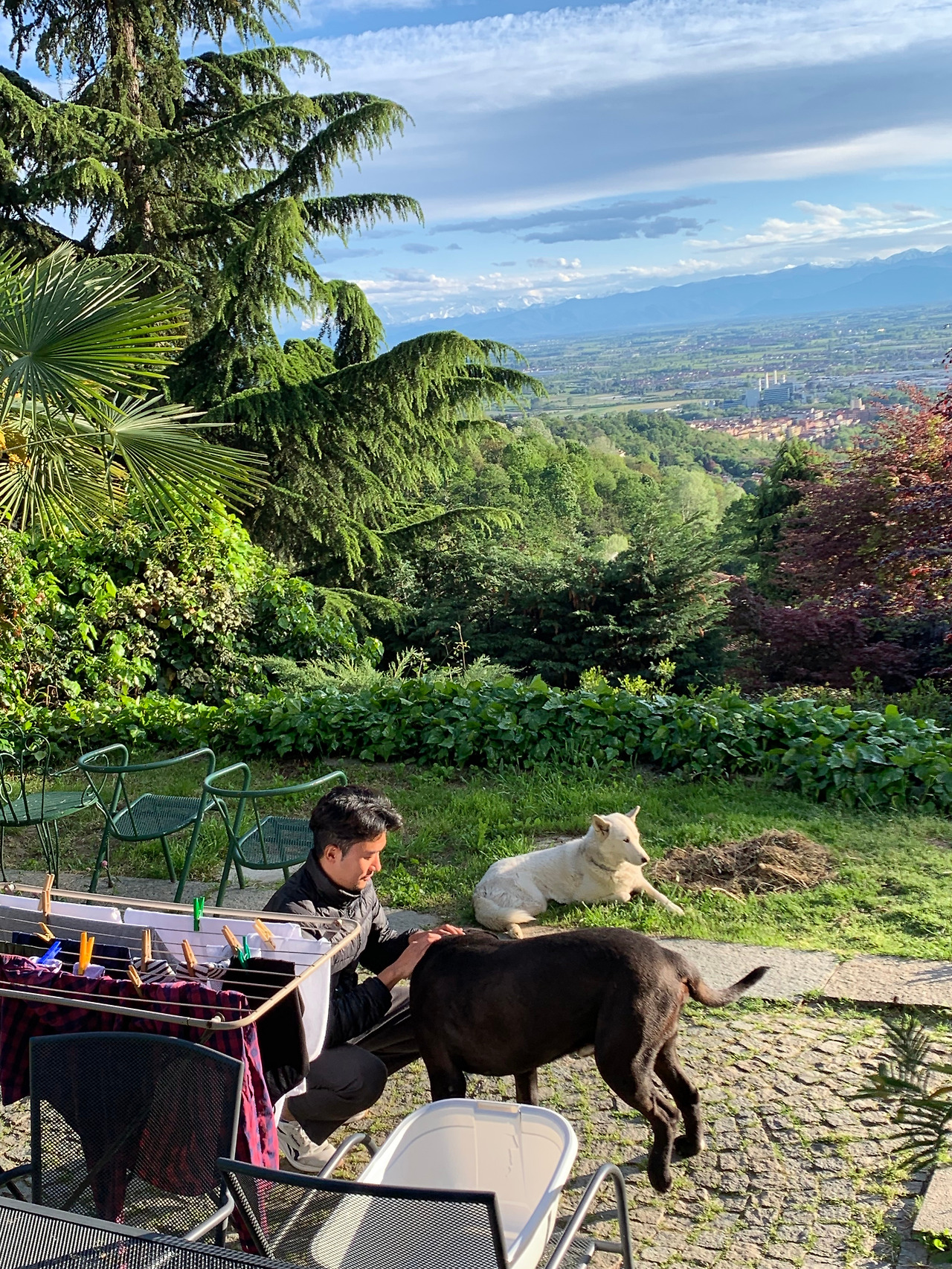 핵토르와 파고.jpg