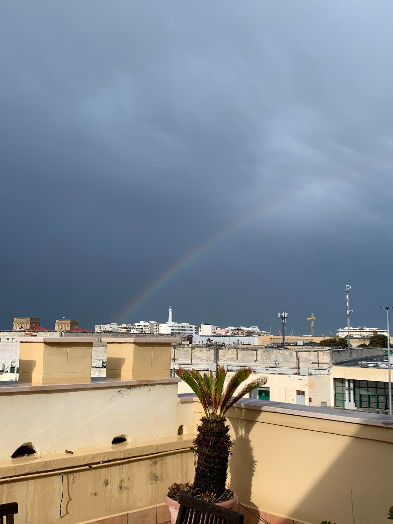 Diran집에서 본 무지개.jpg