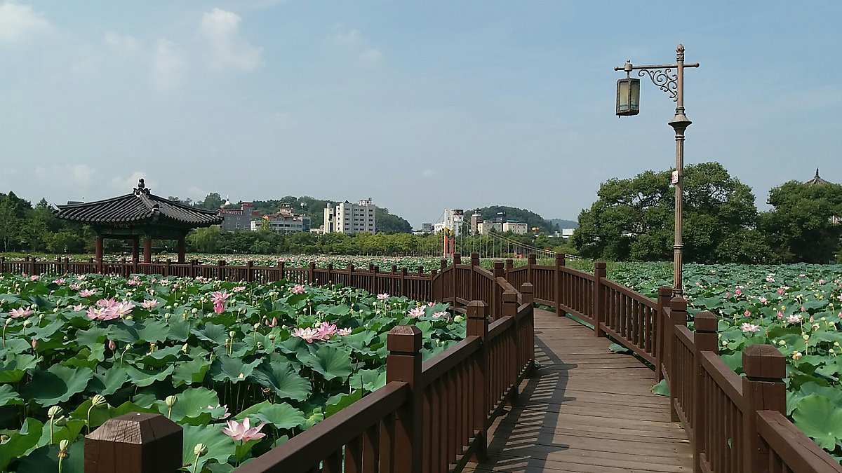 jeonju-3626873_1920.jpg