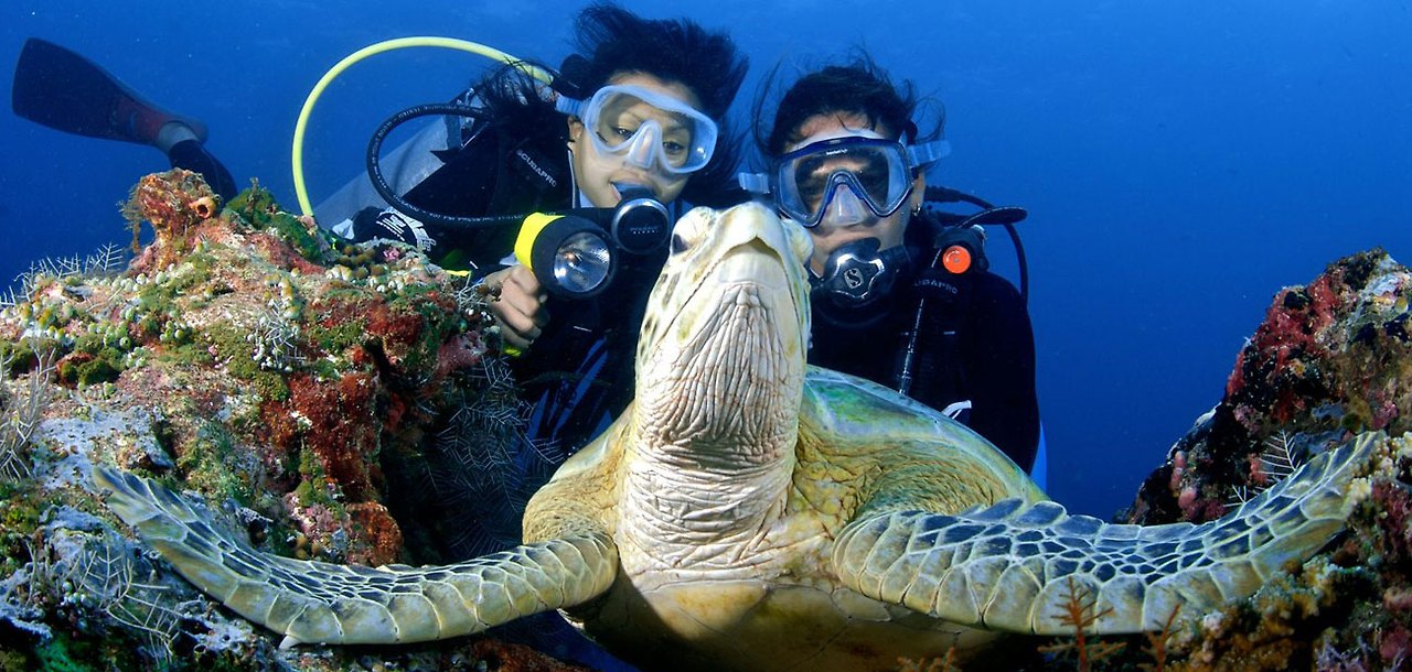 사바 관광청.jpg