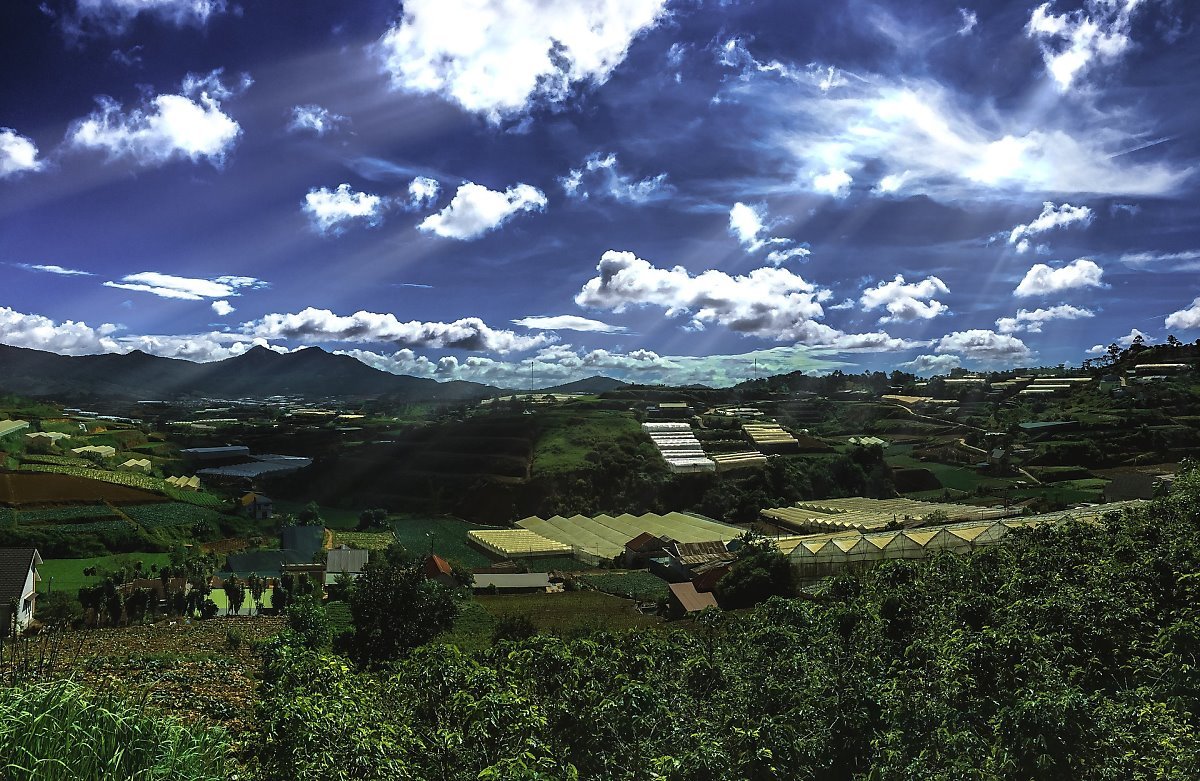 da-lat-2369758_1920.jpg