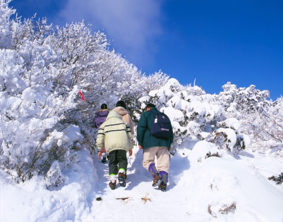 29190032001010106_Halla_Mountain_Snow_Flowers_Festival.jpg