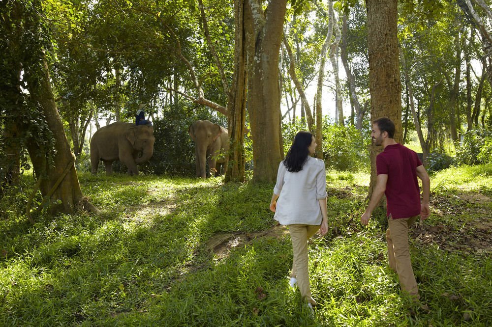 Anantara_Golden_Triangle_Elephant_Camp__Resort8.jpg