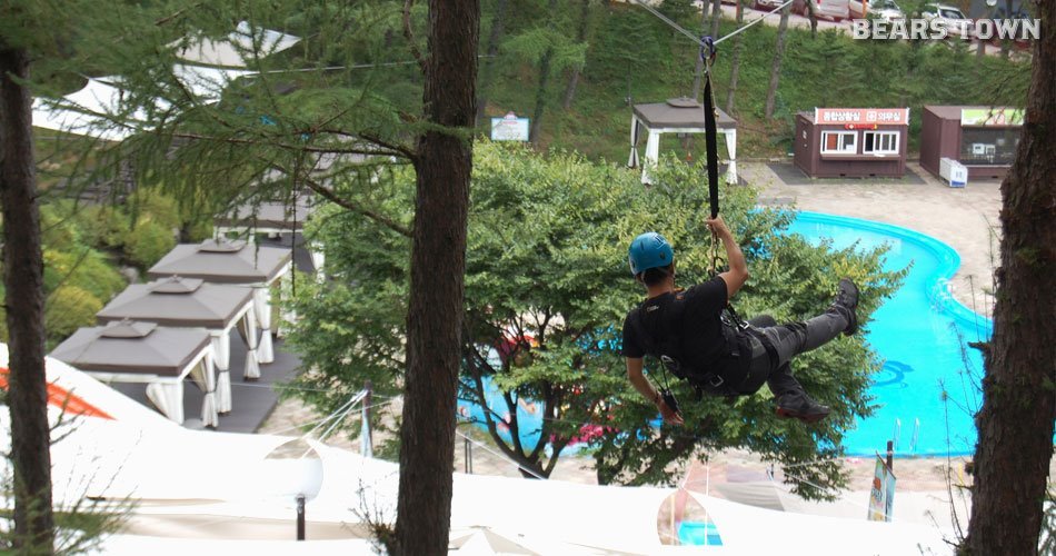 zipline01.jpg
