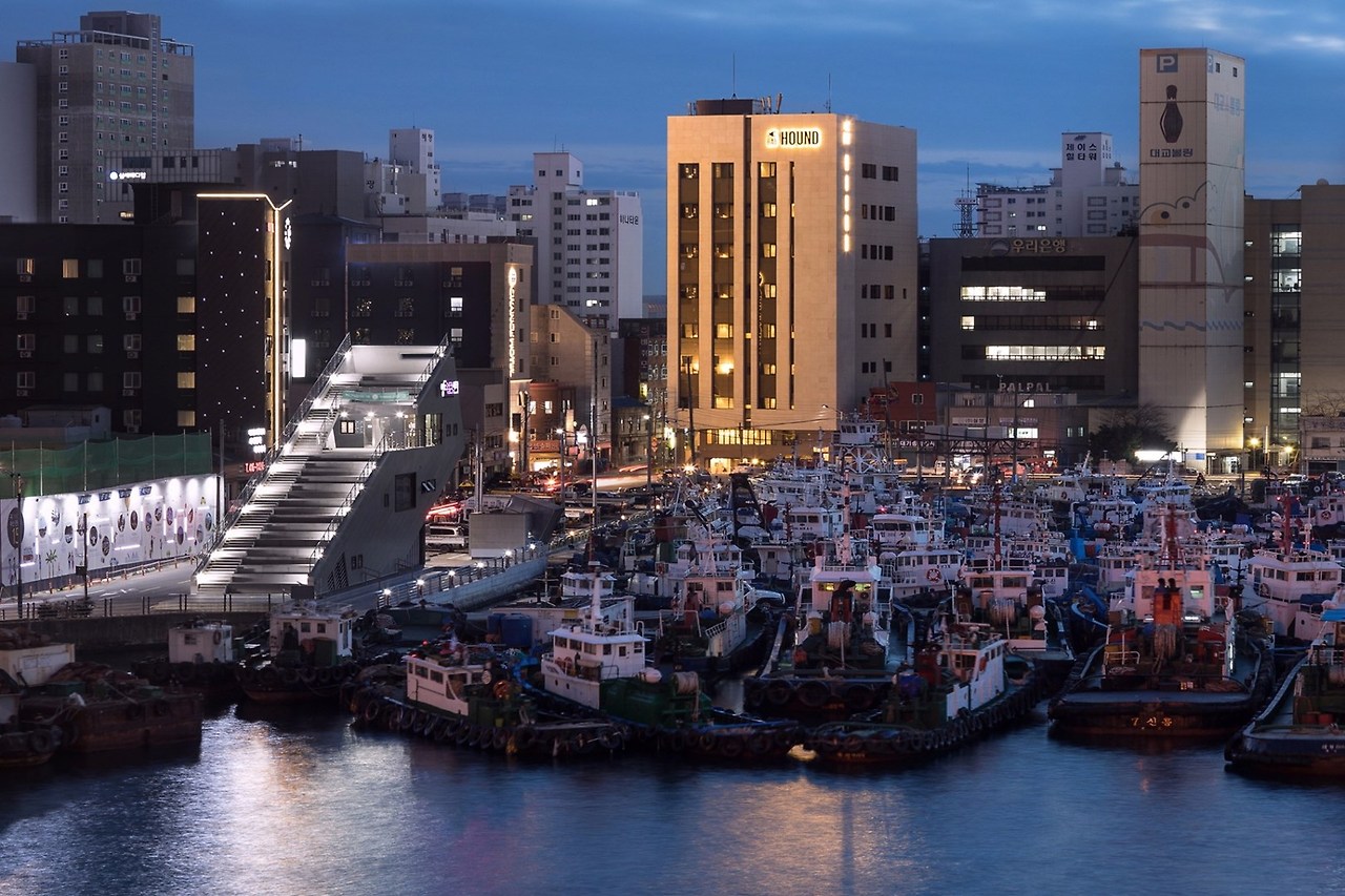 베이하운드 1.jpg