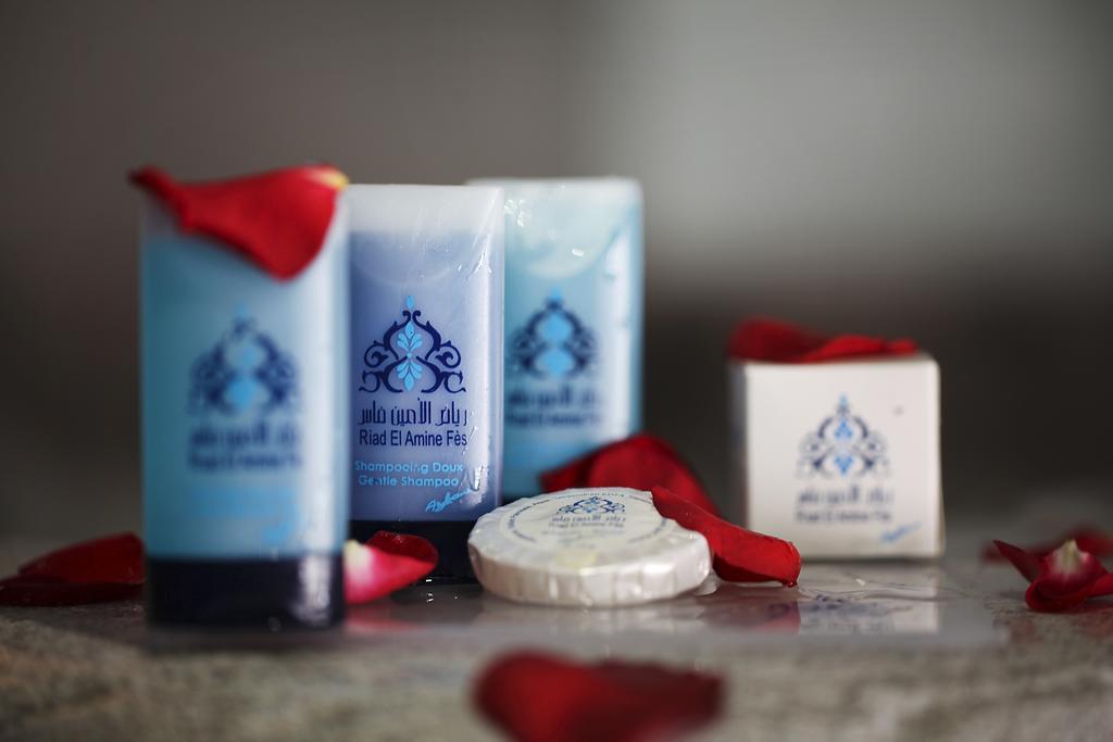 Riad El Amine Fes-10.jpg