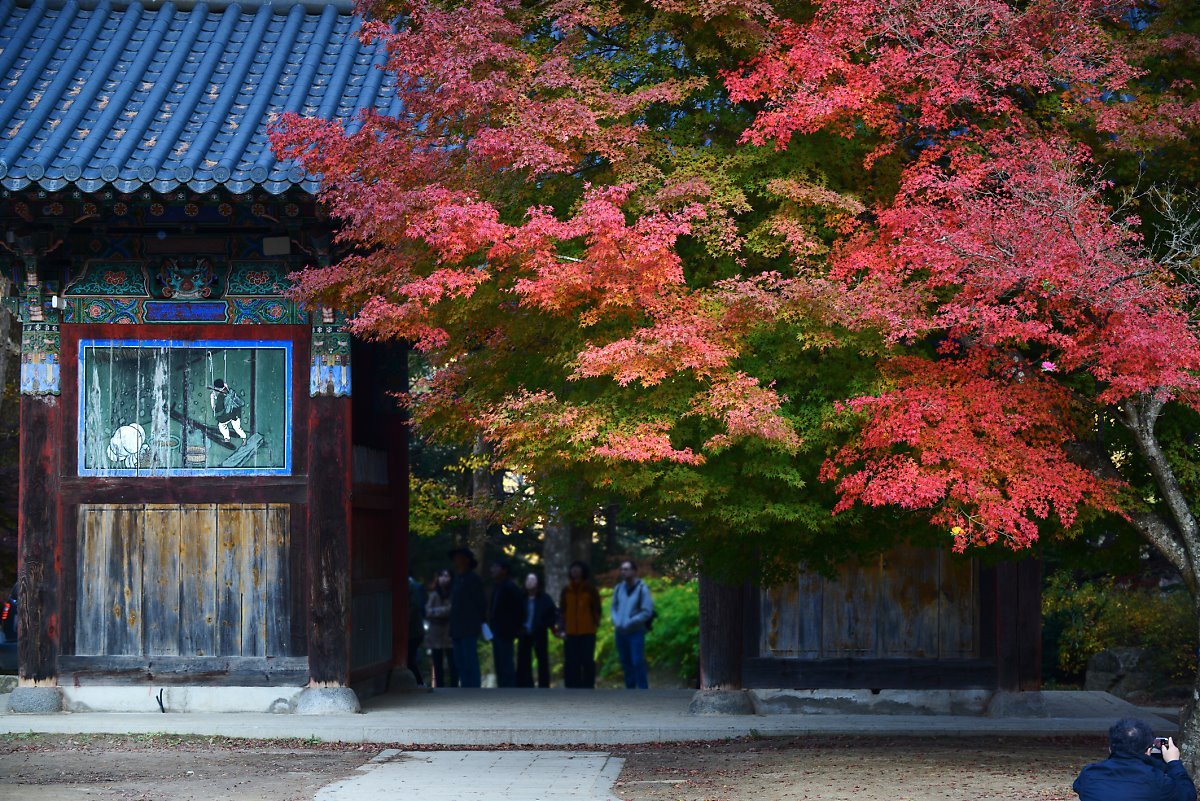1712010201710001k_Woljeongsa_Temple.jpg