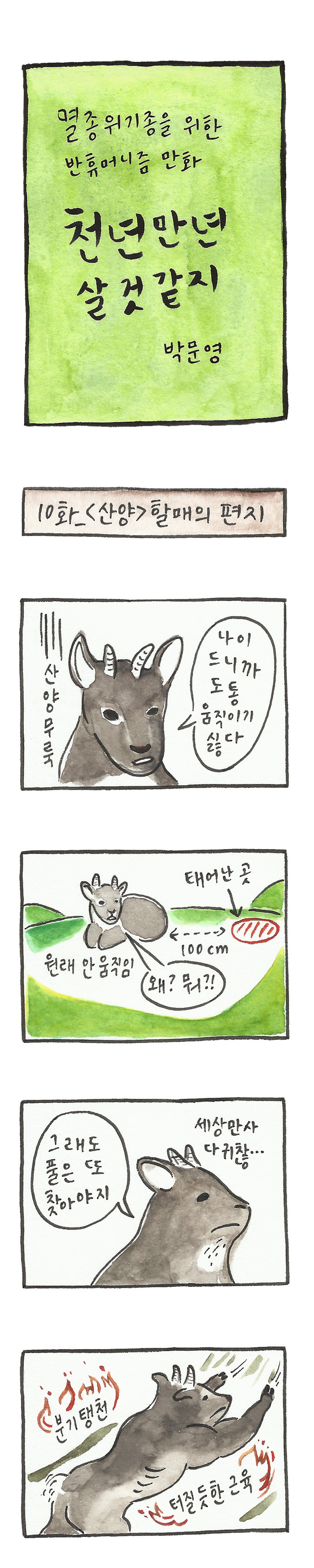 010화_1부_산양.jpg