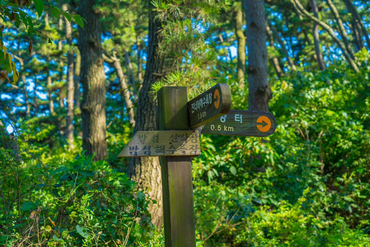 26.수루미해수욕장 갈림길.jpg