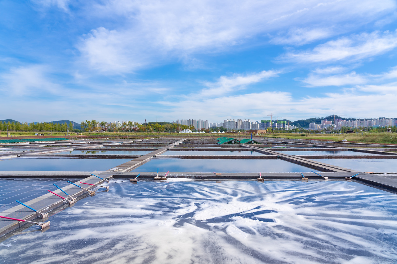 35.염전체험장.jpg