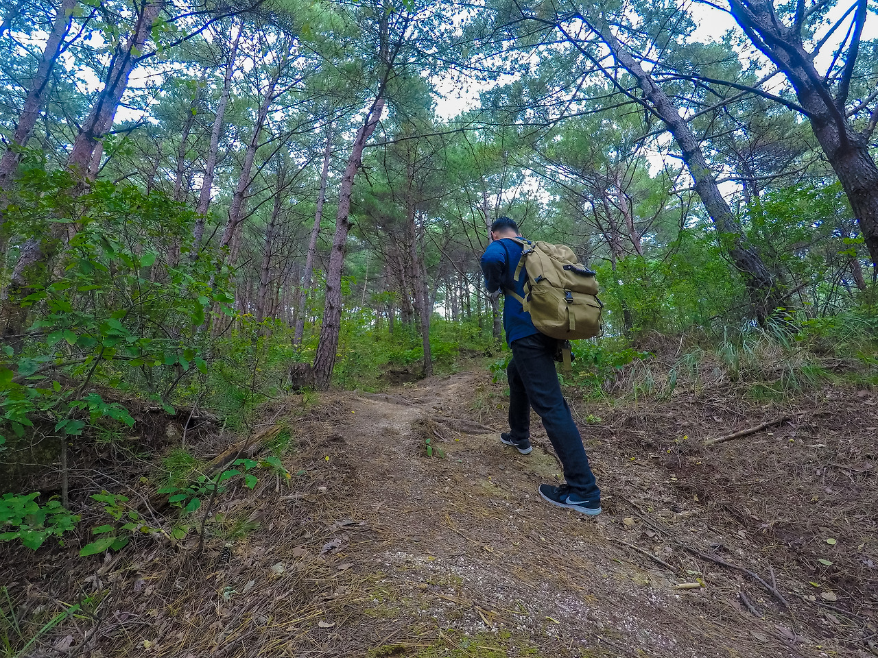 20.현성산 모리재가는길.jpg