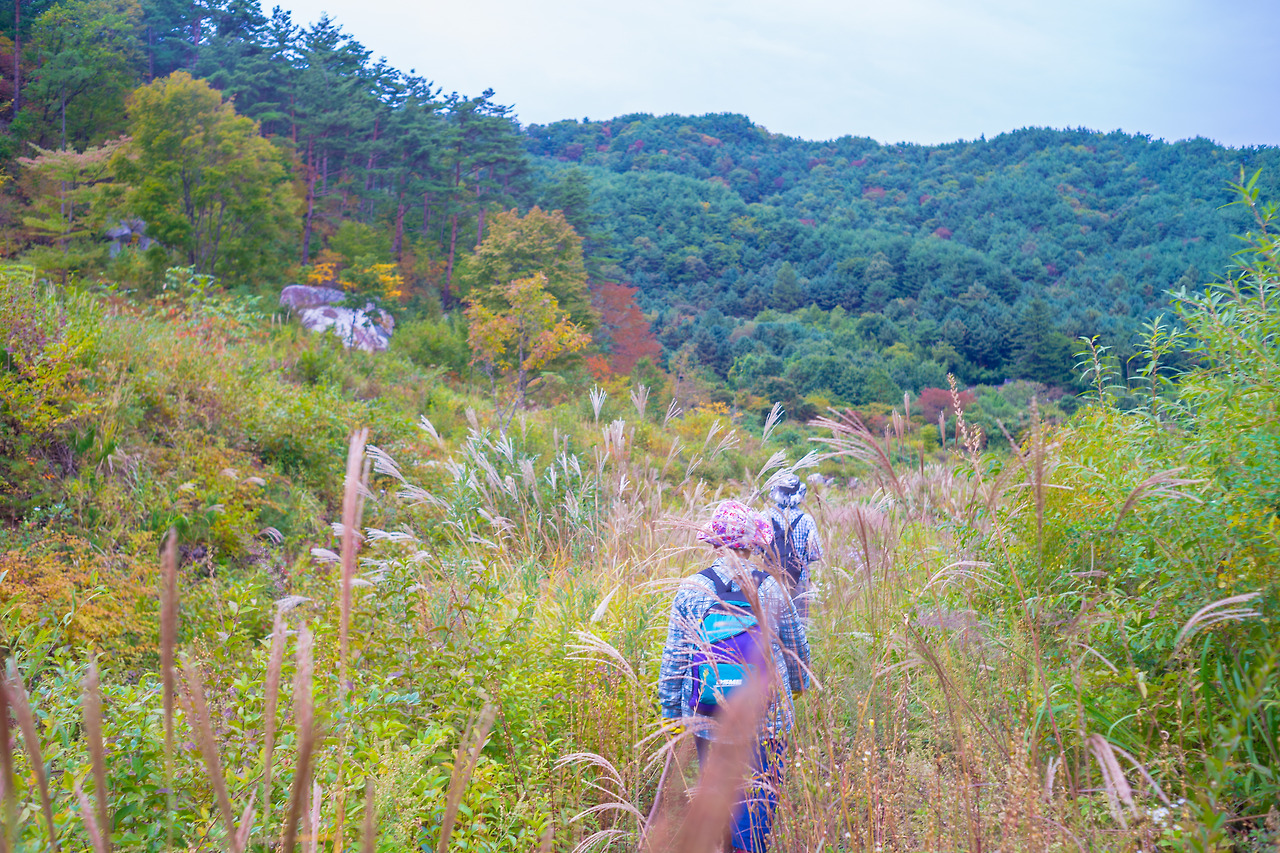 24.현지인의 도움을 받다.jpg