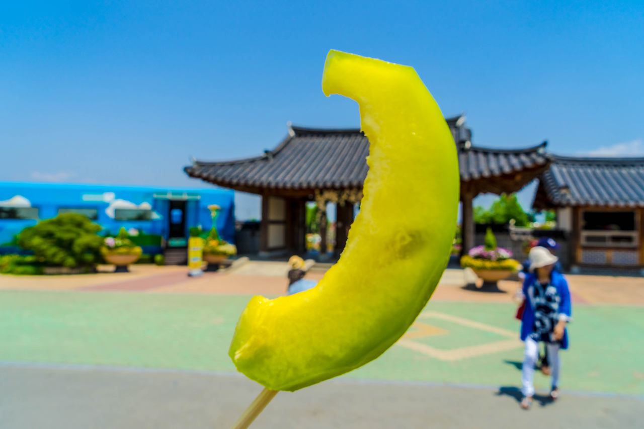 5_1.곡성특산품 메론.jpg