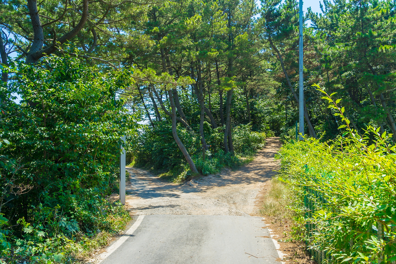 14.둘레길 갈림길.jpg
