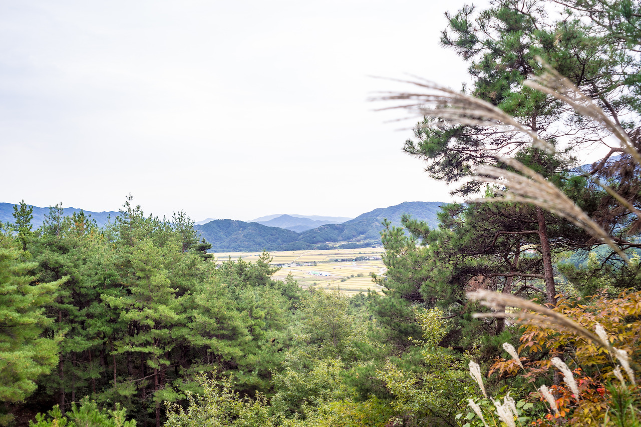 19.거창을 바라보며.jpg