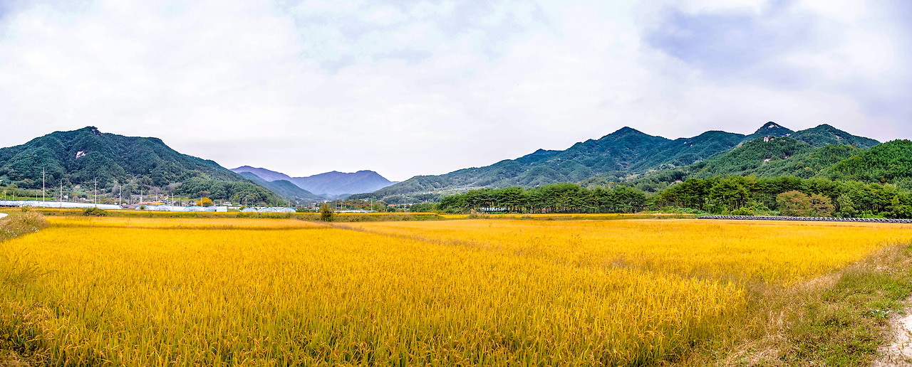 1.거창 문화유산여행길 파노라마1.jpg