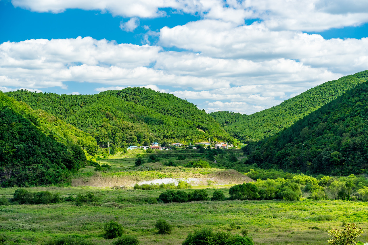 12.강 건너 풍경.jpg