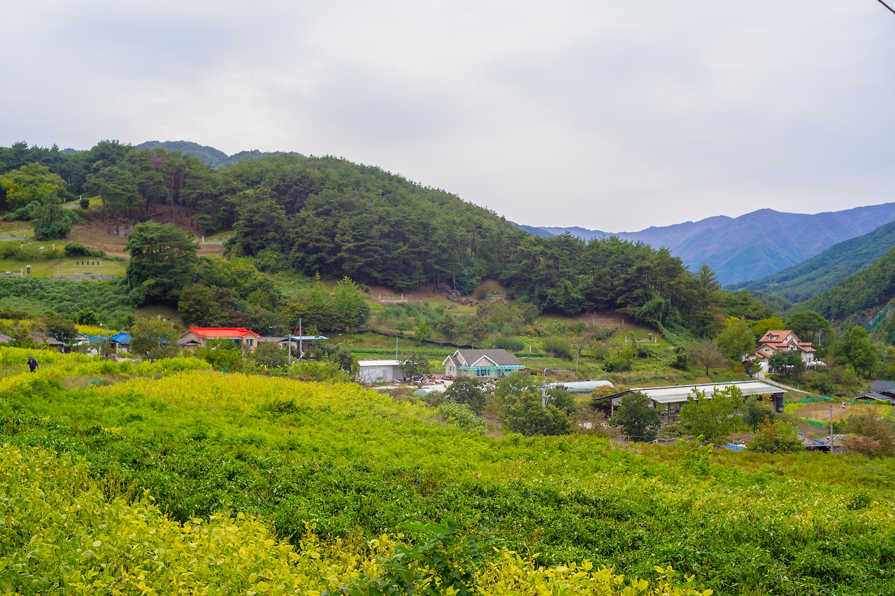 30.강선대마을1.jpg