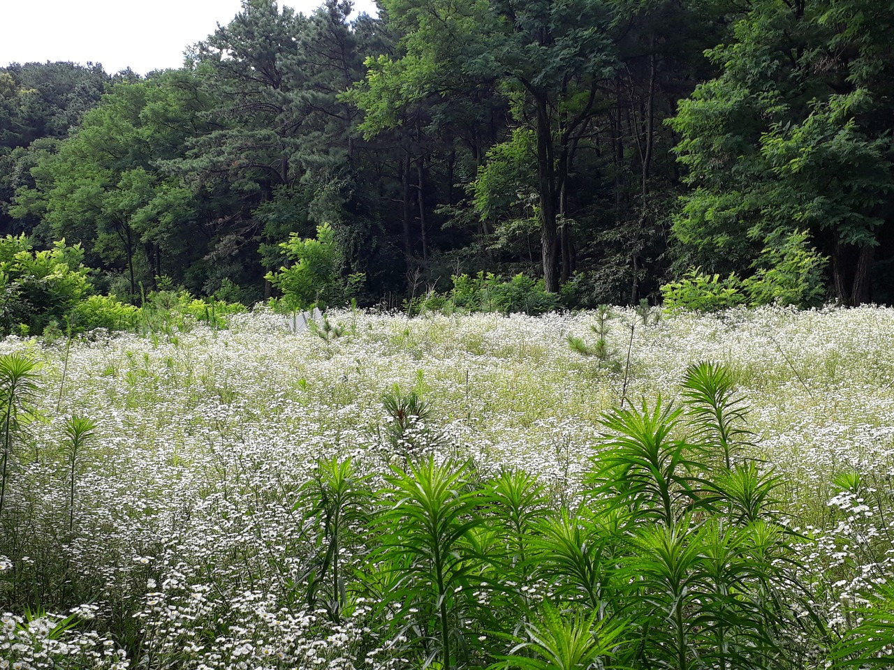 다운로드 (2).jpg