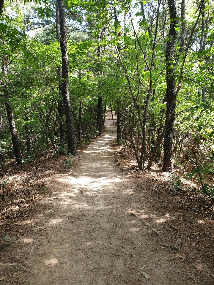 다운로드 (1).jpg