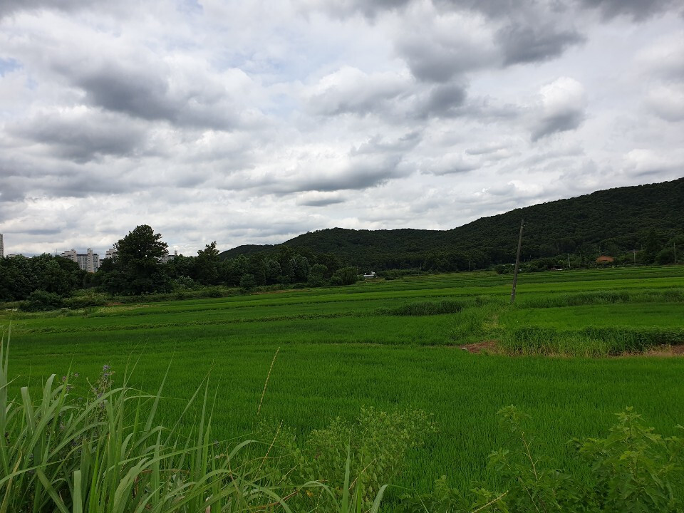 다운로드 (3).jpg