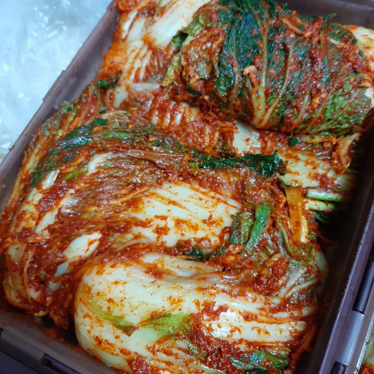 KakaoTalk_20221122_093631184_02 (1).jpg