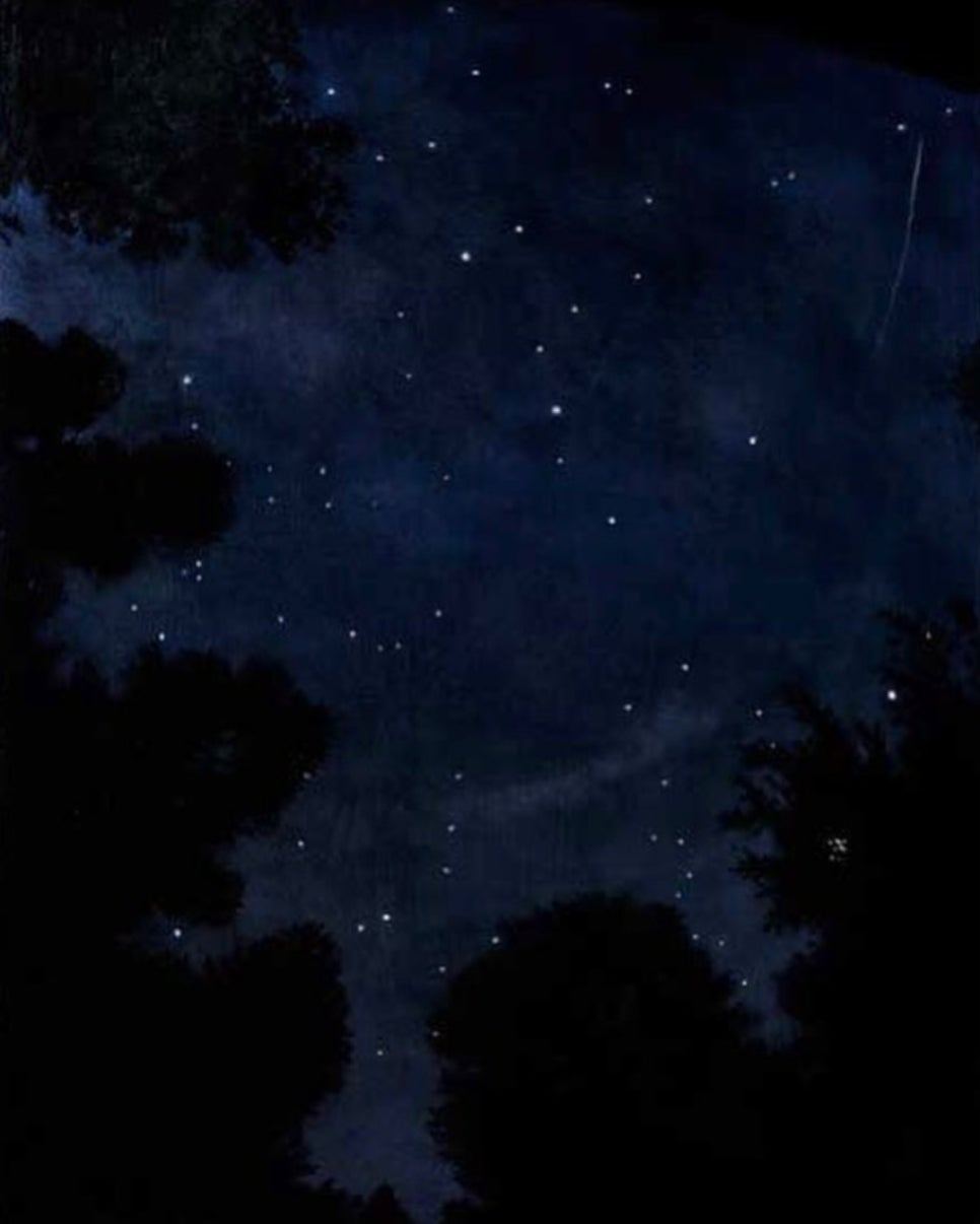 3-10.©Warren Criswell.jpg