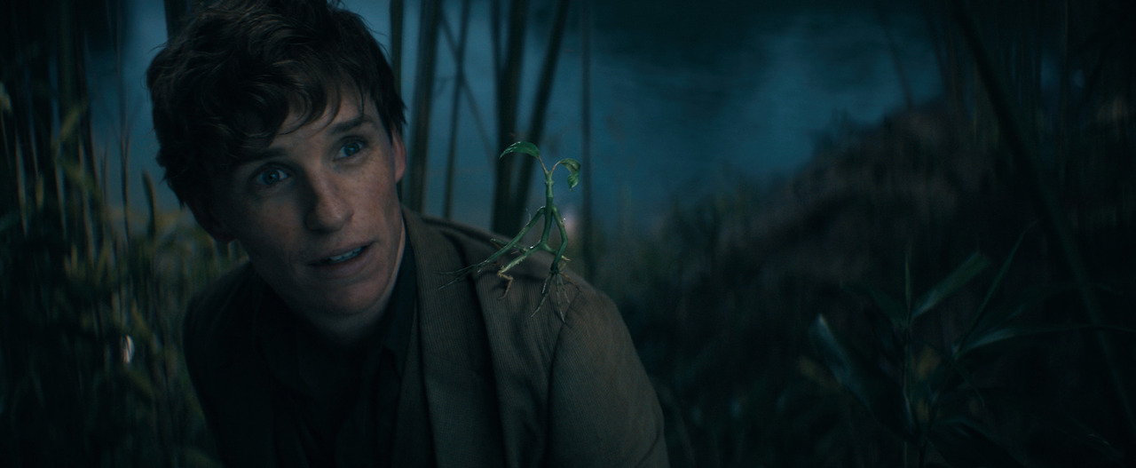 Eddie Redmayne in Fantastic Beasts_ The Secrets of_.jpg