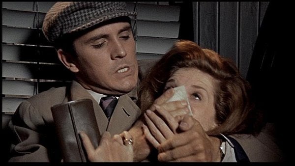 the collector 1965.jpg