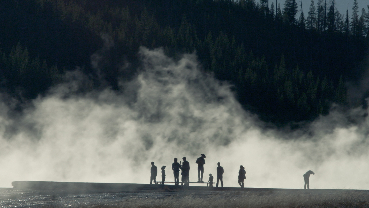 1_비커밍 애니멀 Becoming Animal.jpg