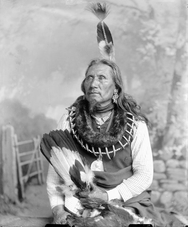 Pawnee_Brave-Chief.jpg