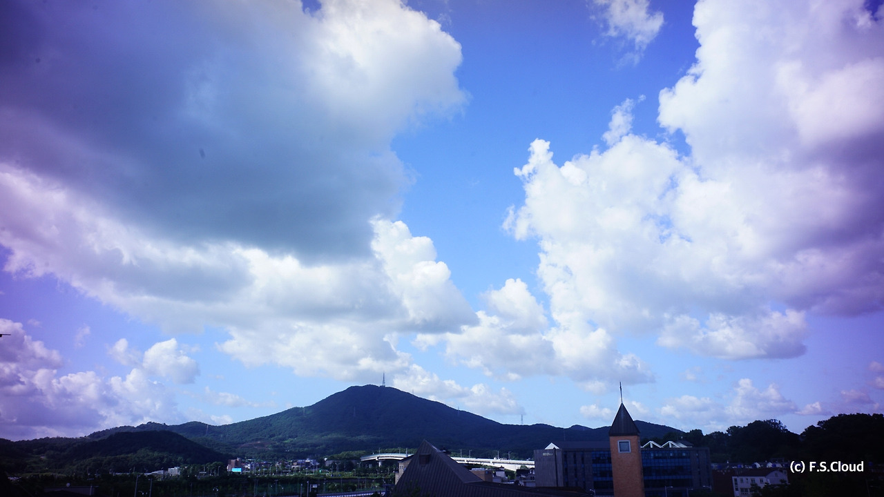 DSC08643 사본.jpg