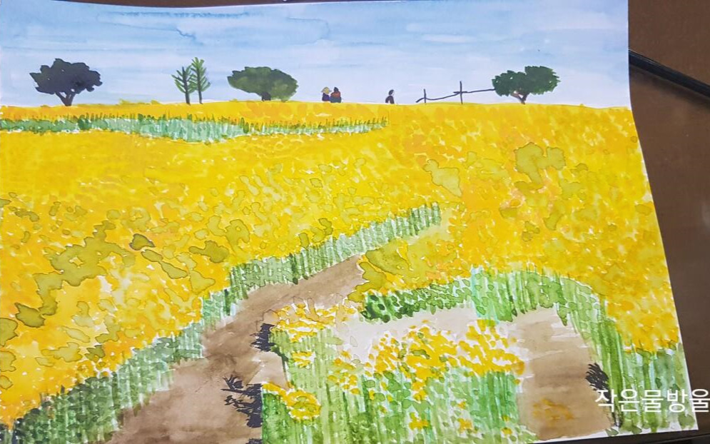 고창유채꽃밭.jpg