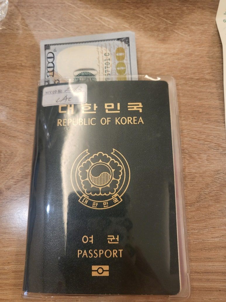 여권과100달라.jpg