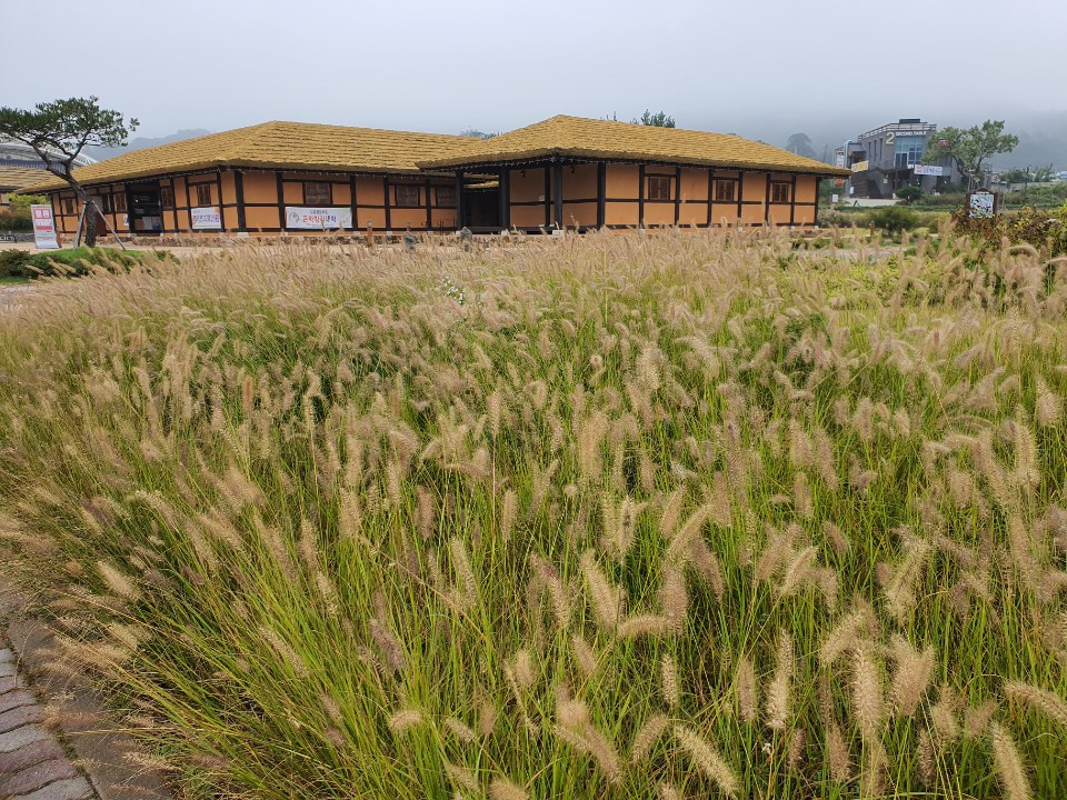 실레마을.jpg