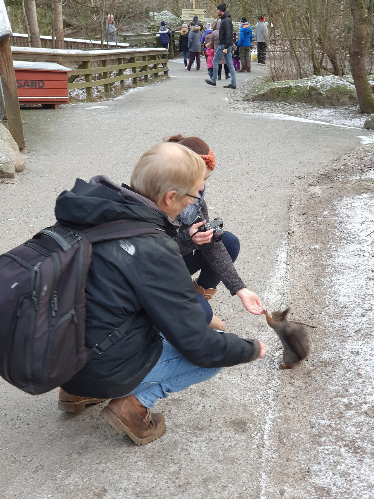 03 자연20191228_131615.jpg