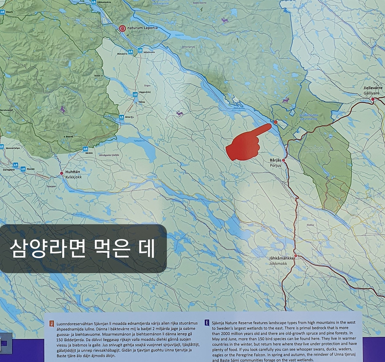 20210703_224155 (2).jpg